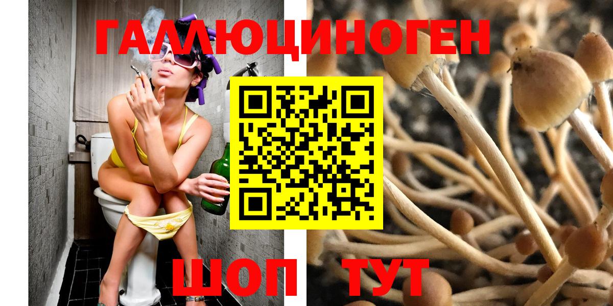 Ессентуки  дарнет шоп  Вход с VPN  Галлюциногенные грибы мухоморы 