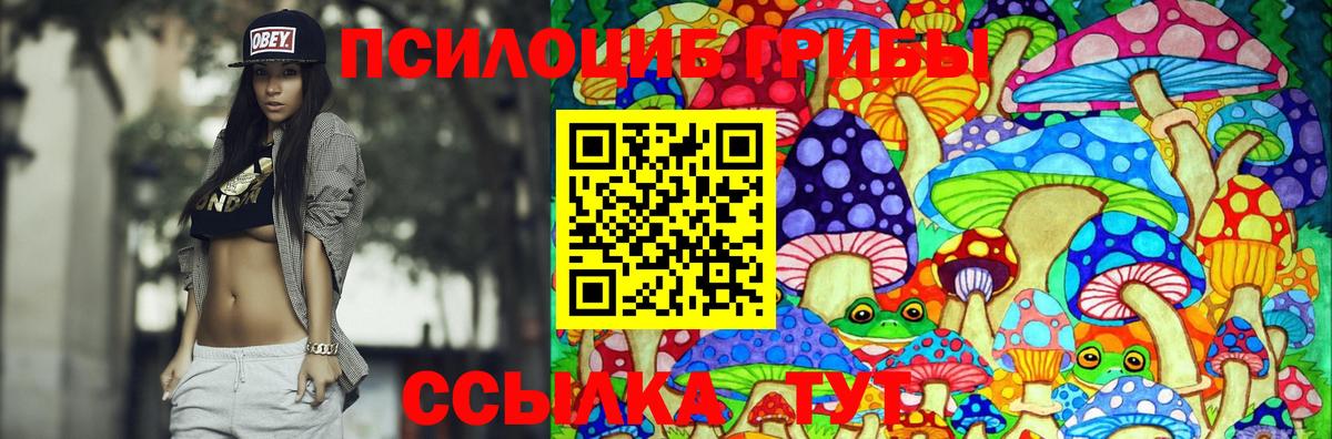 Галлюциногенные грибы Magic Shrooms Ессентуки