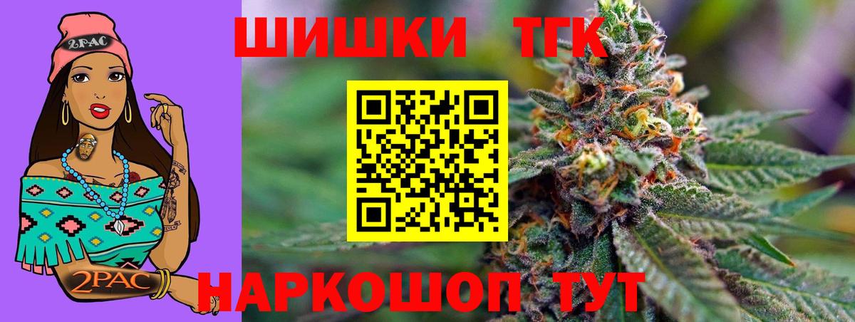 Каннабис сатива Ессентуки
